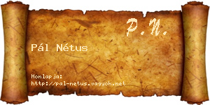 Pál Nétus névjegykártya